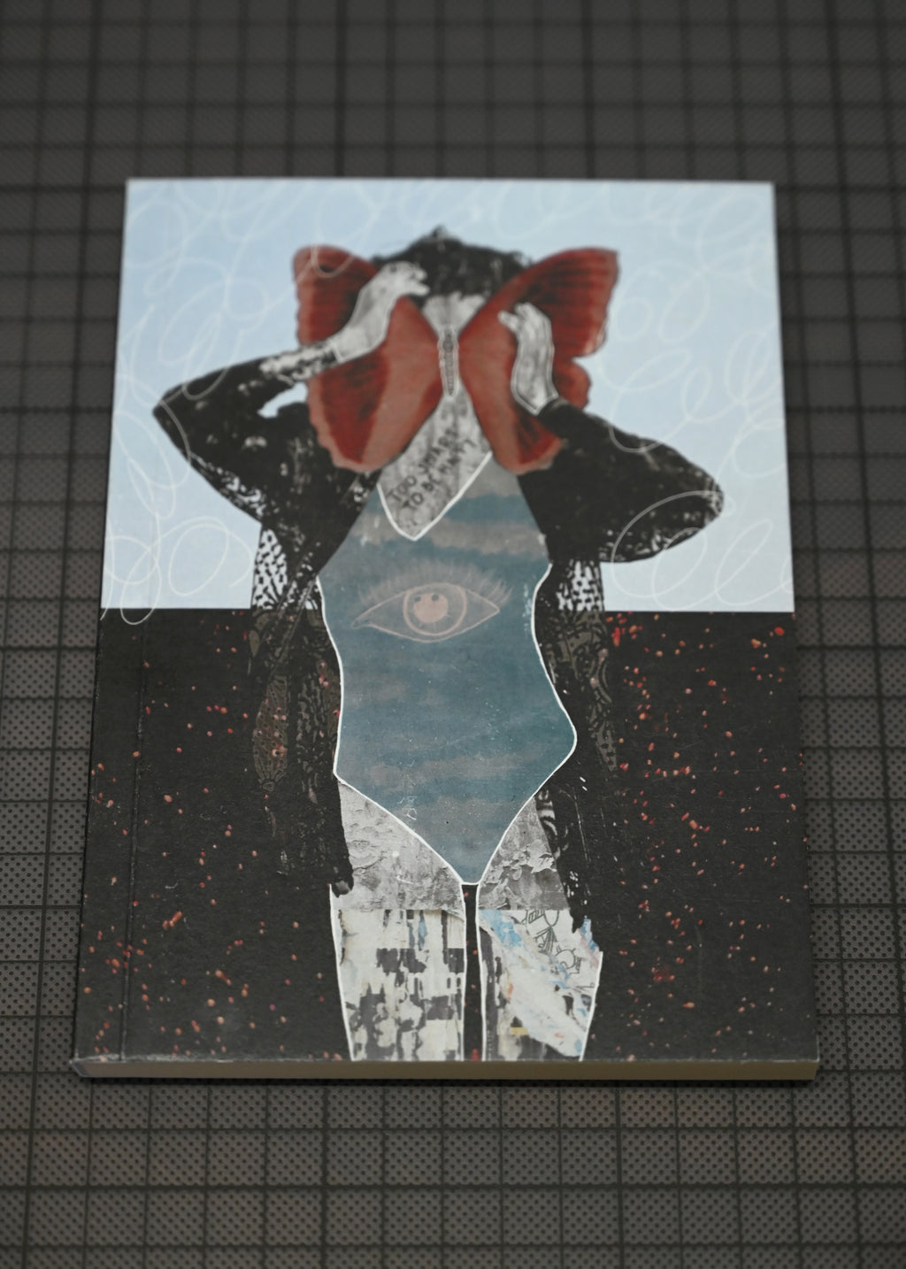 Too Smart to Fly, Art Notebook