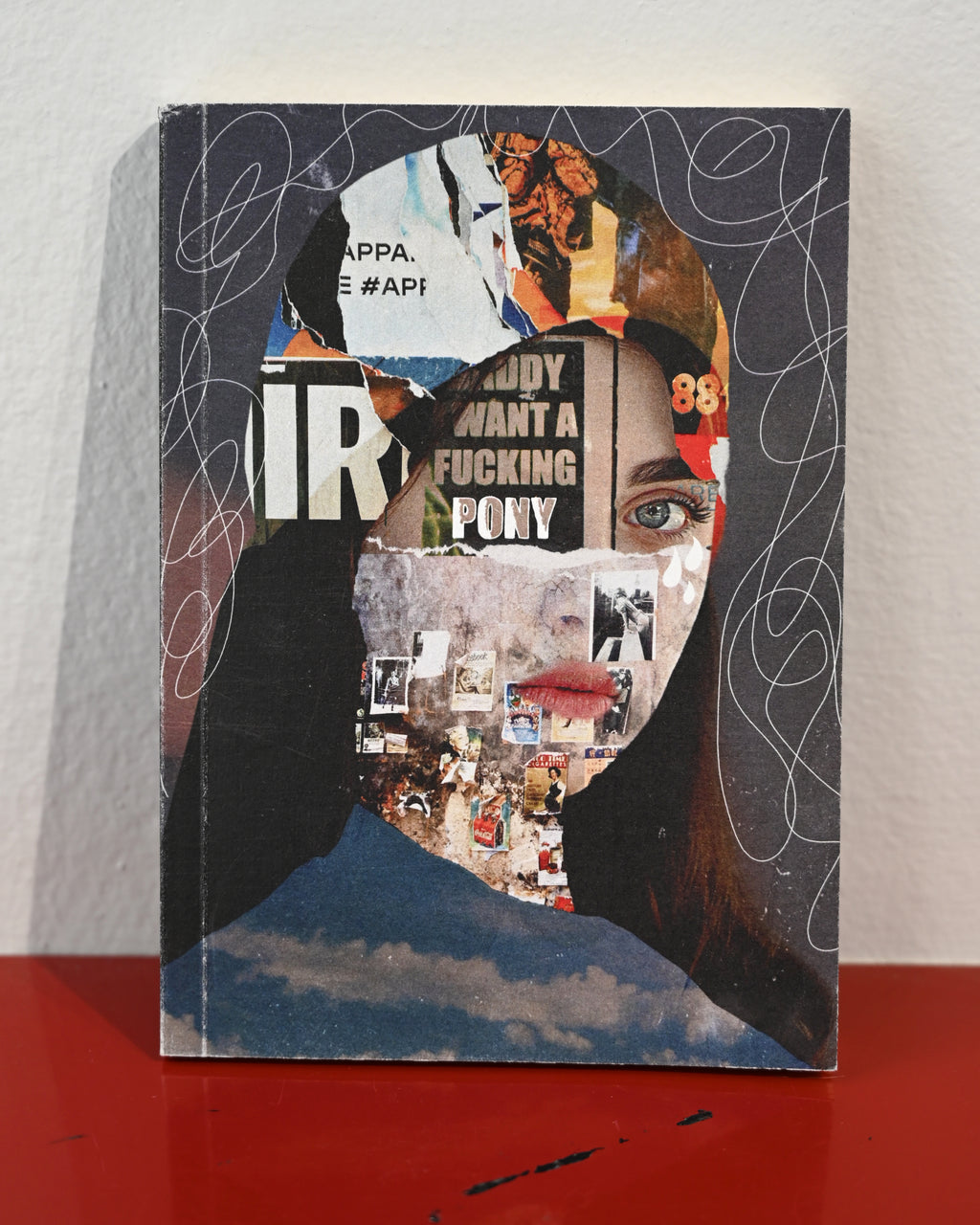 A hardcover book with a dark collage-style cover featuring a woman's face made from mixed newspaper and photo elements, standing upright on a red surface against a light wall.